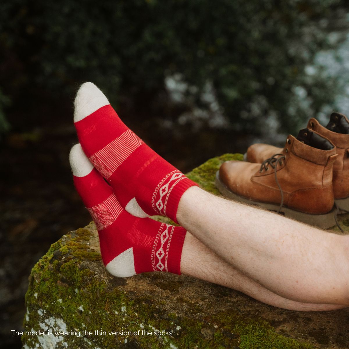 Adventurer Low-Cut (2 pairs)